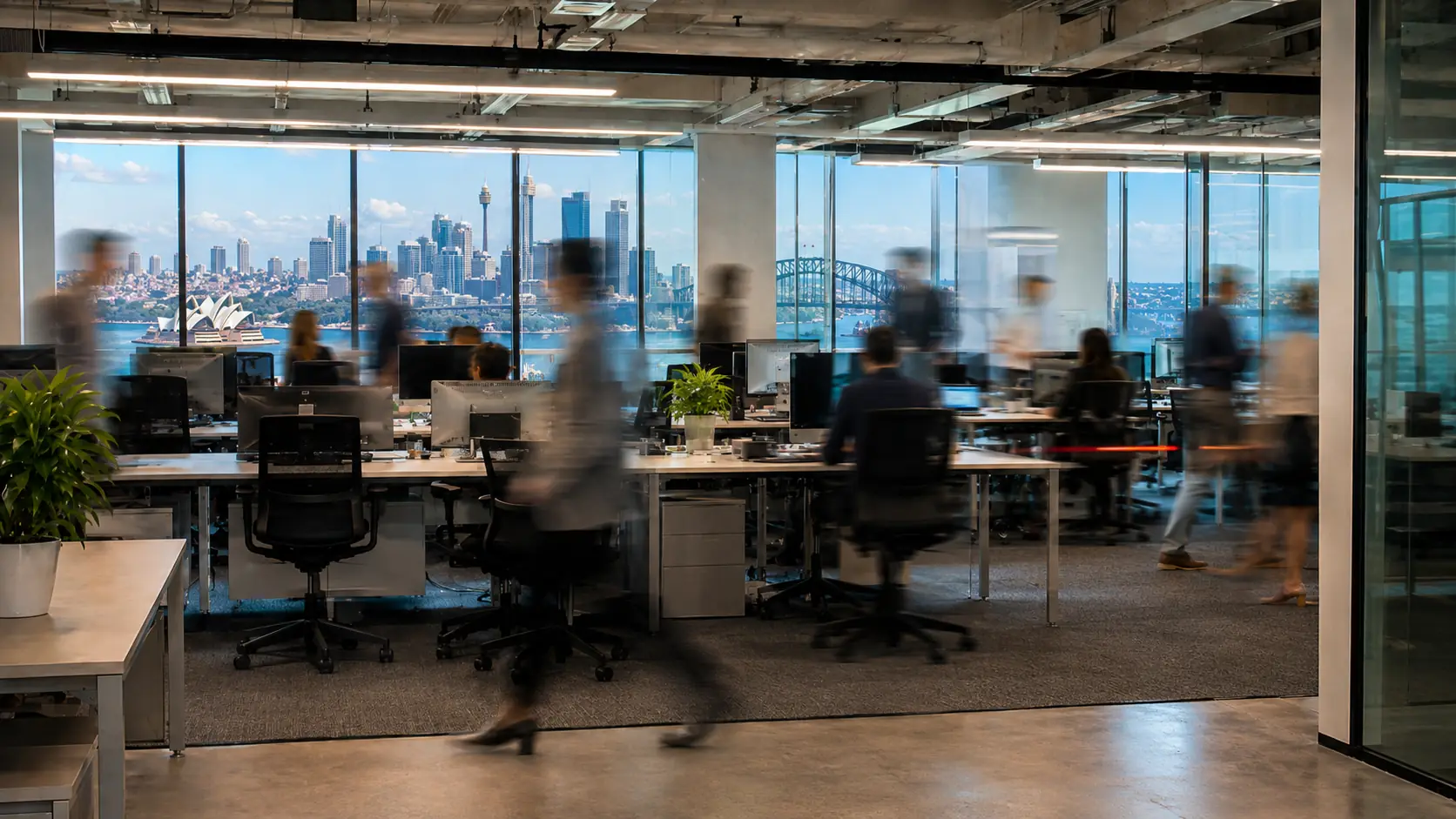The Automation Consulting office at Martin Place, Sydney